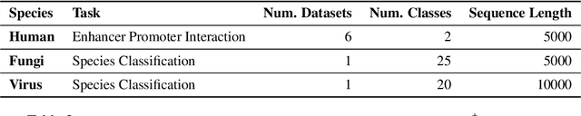 Figure 4 for DNABERT-2: Efficient Foundation Model and Benchmark For Multi-Species Genome