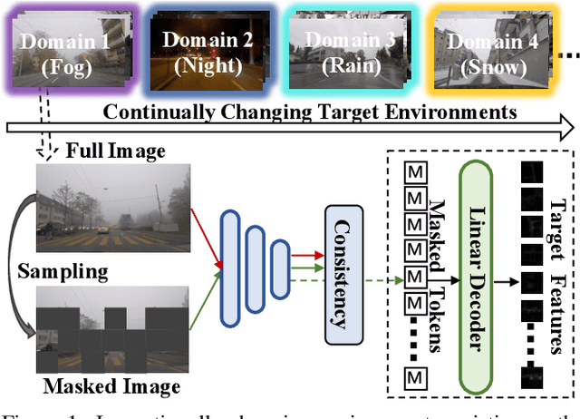 Figure 1 for Adaptive Distribution Masked Autoencoders for Continual Test-Time Adaptation