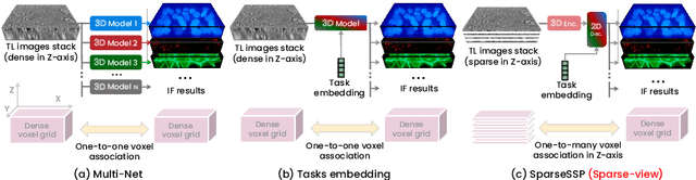 Figure 1 for SparseSSP: 3D Subcellular Structure Prediction from Sparse-View Transmitted Light Images