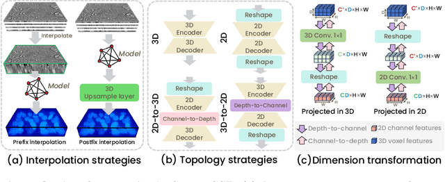 Figure 3 for SparseSSP: 3D Subcellular Structure Prediction from Sparse-View Transmitted Light Images