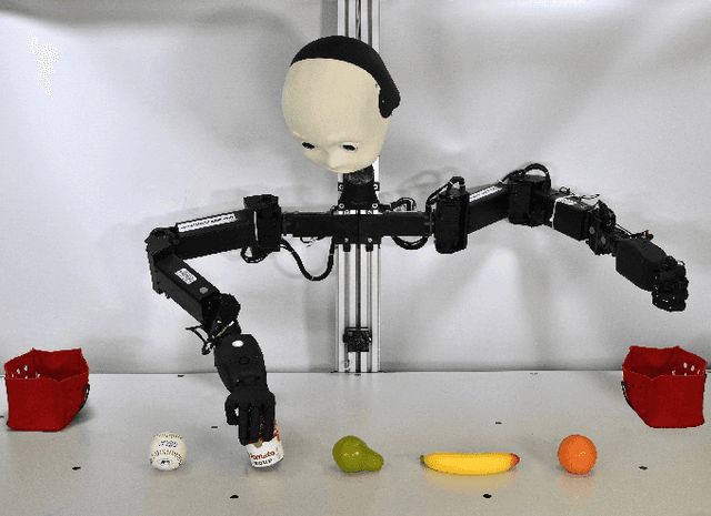 Figure 1 for Inverse Kinematics for Neuro-Robotic Grasping with Humanoid Embodied Agents