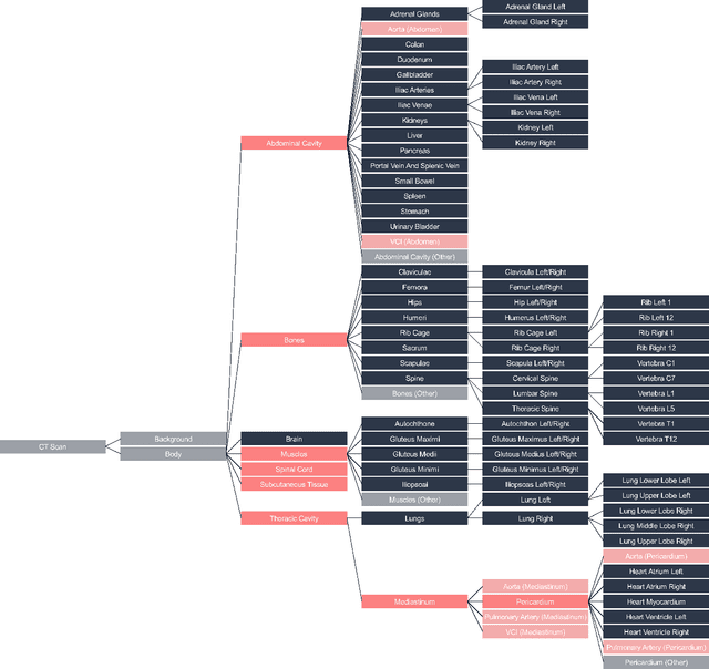 Figure 3 for SALT: Introducing a Framework for Hierarchical Segmentations in Medical Imaging using Softmax for Arbitrary Label Trees