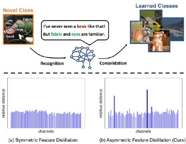 Figure 1 for SRIL: Selective Regularization for Class-Incremental Learning