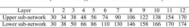 Figure 2 for Image Blind Denoising Using Dual Convolutional Neural Network with Skip Connection