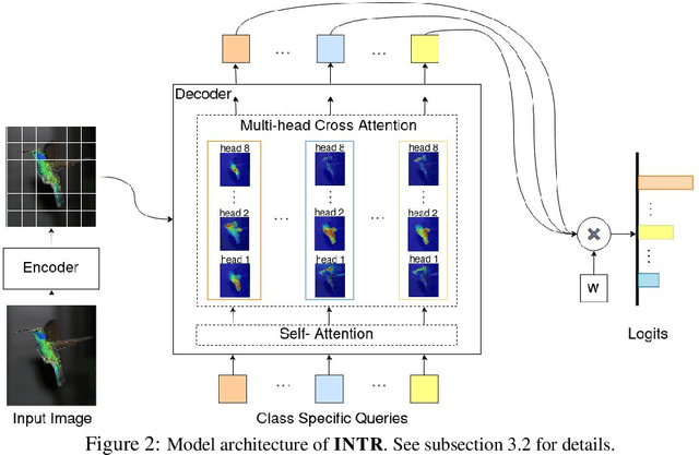 Figure 1 for A Simple Interpretable Transformer for Fine-Grained Image Classification and Analysis