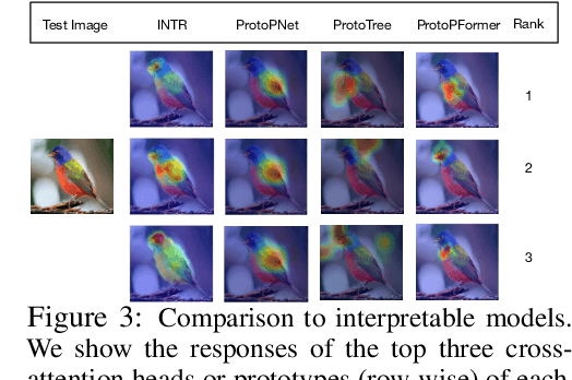 Figure 3 for A Simple Interpretable Transformer for Fine-Grained Image Classification and Analysis