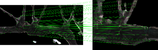 Figure 2 for Creating a Segmented Pointcloud of Grapevines by Combining Multiple Viewpoints Through Visual Odometry