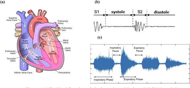 Figure 1 for Exploring Sensing Devices for Heart and Lung Sound Monitoring