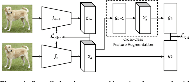 Figure 1 for Cross-Class Feature Augmentation for Class Incremental Learning