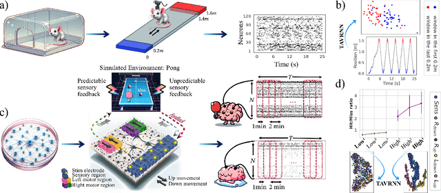 Figure 1 for TAVRNN: Temporal Attention-enhanced Variational Graph RNN Captures Neural Dynamics and Behavior