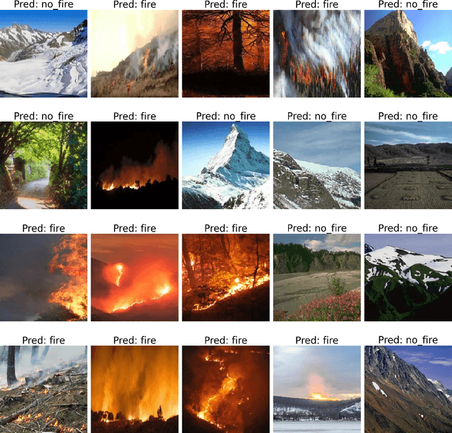 Figure 2 for Utilizing Transfer Learning and pre-trained Models for Effective Forest Fire Detection: A Case Study of Uttarakhand