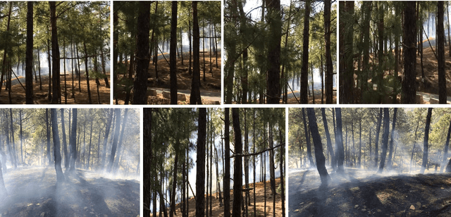 Figure 1 for Utilizing Transfer Learning and pre-trained Models for Effective Forest Fire Detection: A Case Study of Uttarakhand