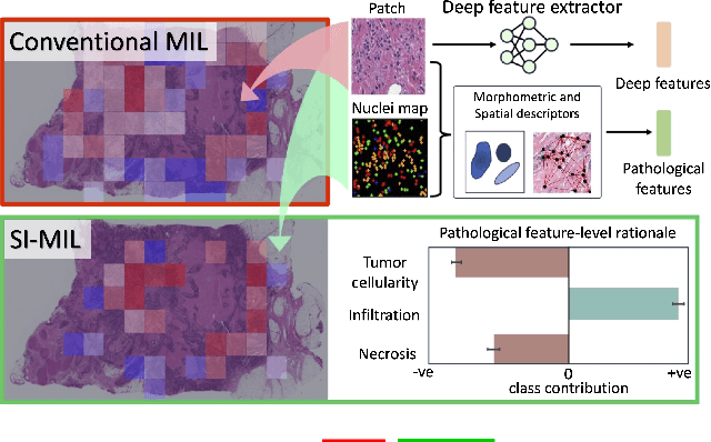 Figure 1 for SI-MIL: Taming Deep MIL for Self-Interpretability in Gigapixel Histopathology