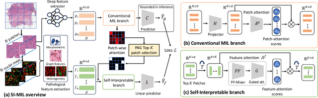 Figure 3 for SI-MIL: Taming Deep MIL for Self-Interpretability in Gigapixel Histopathology