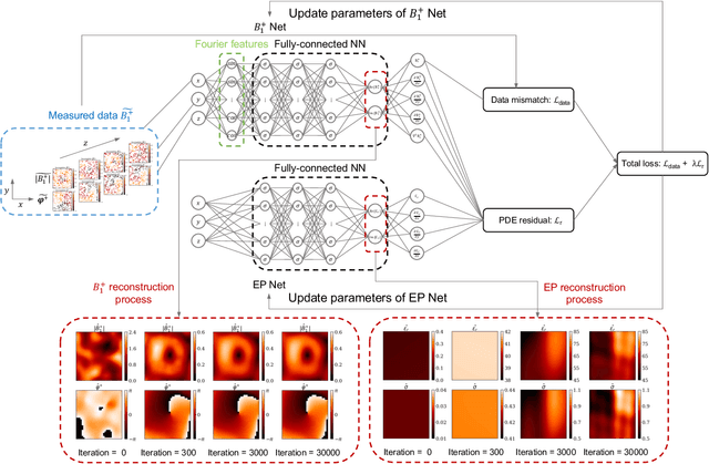 Figure 1 for PIFON-EPT: MR-Based Electrical Property Tomography Using Physics-Informed Fourier Networks