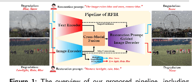 Figure 1 for Referring Flexible Image Restoration