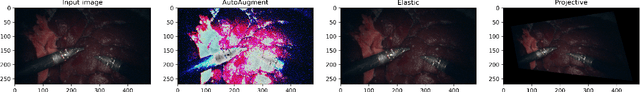 Figure 3 for SegSTRONG-C: Segmenting Surgical Tools Robustly On Non-adversarial Generated Corruptions -- An EndoVis'24 Challenge