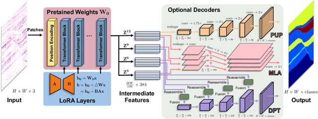 Figure 3 for Cross-Domain Foundation Model Adaptation: Pioneering Computer Vision Models for Geophysical Data Analysis