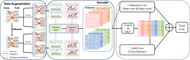 Figure 3 for CSGDN: Contrastive Signed Graph Diffusion Network for Predicting Crop Gene-Trait Associations