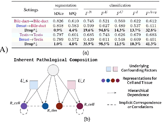 Figure 1 for Revisiting Adaptive Cellular Recognition Under Domain Shifts: A Contextual Correspondence View