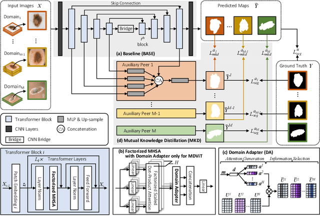 Figure 2 for MDViT: Multi-domain Vision Transformer for Small Medical Image Segmentation Datasets