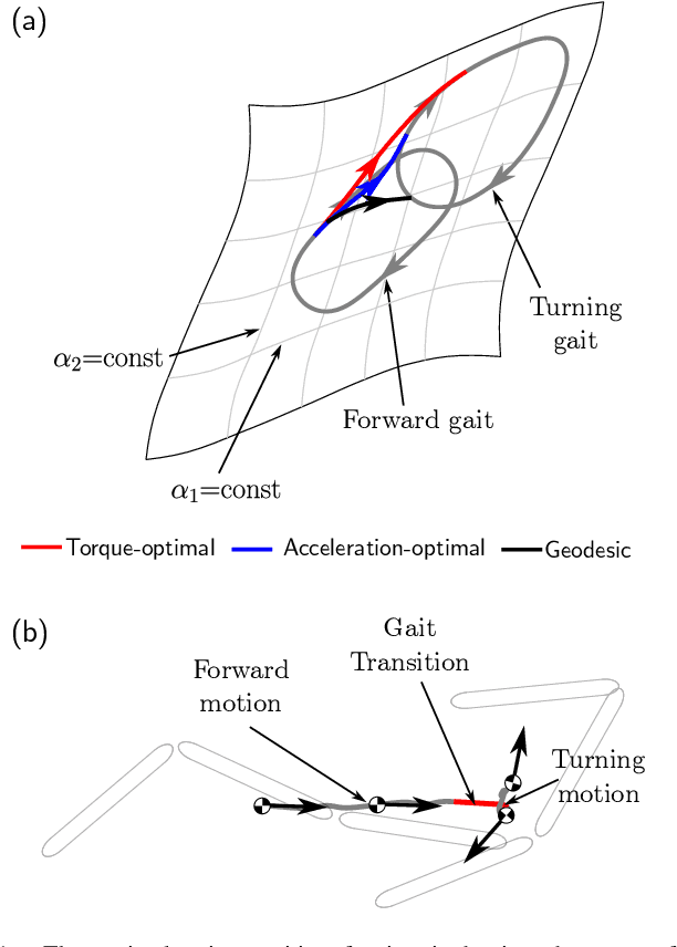 Figure 1 for Optimal Control Approach for Gait Transition with Riemannian Splines