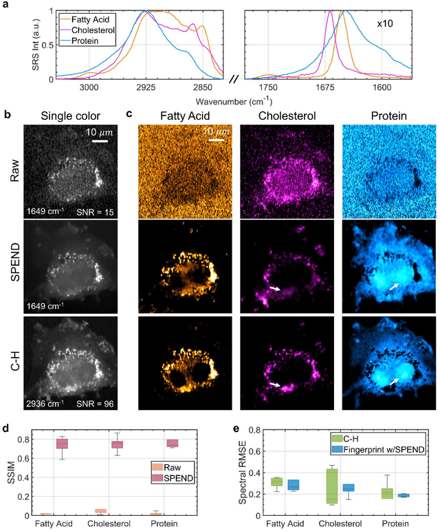 Figure 4 for Self-Supervised Elimination of Non-Independent Noise in Hyperspectral Imaging