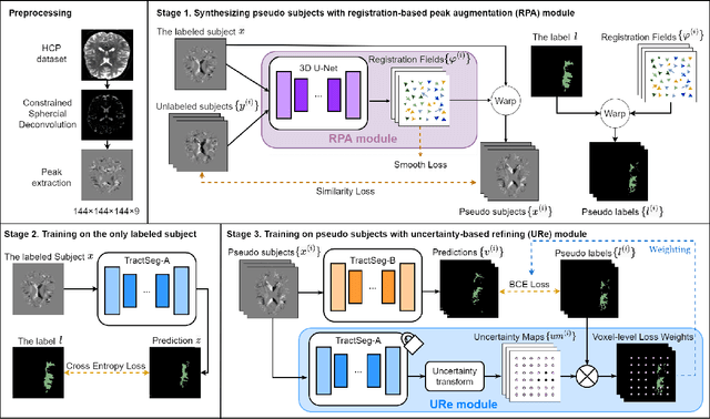 Figure 1 for A Registration- and Uncertainty-based Framework for White Matter Tract Segmentation With Only One Annotated Subject