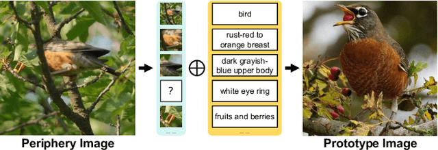 Figure 1 for Simple Semantic-Aided Few-Shot Learning