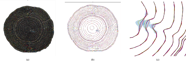 Figure 3 for UruDendro, a public dataset of cross-section images of Pinus taeda