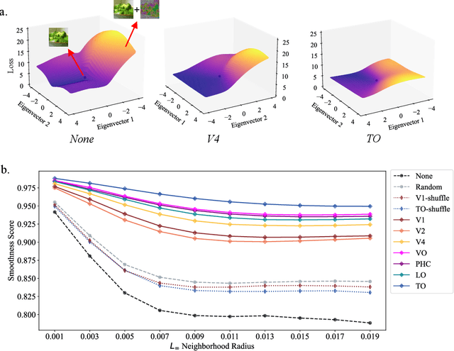 Figure 3 for Leveraging the Human Ventral Visual Stream to Improve Neural Network Robustness