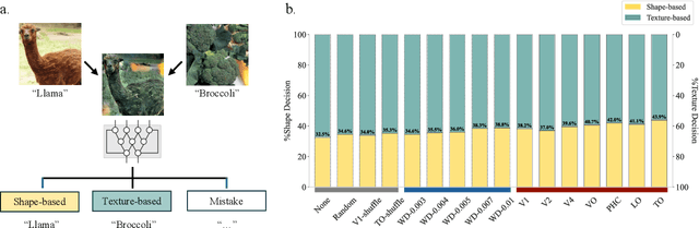 Figure 4 for Leveraging the Human Ventral Visual Stream to Improve Neural Network Robustness