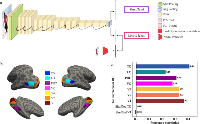 Figure 1 for Leveraging the Human Ventral Visual Stream to Improve Neural Network Robustness