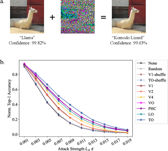 Figure 2 for Leveraging the Human Ventral Visual Stream to Improve Neural Network Robustness