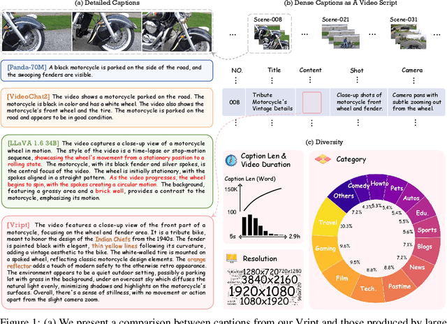 Figure 1 for Vript: A Video Is Worth Thousands of Words