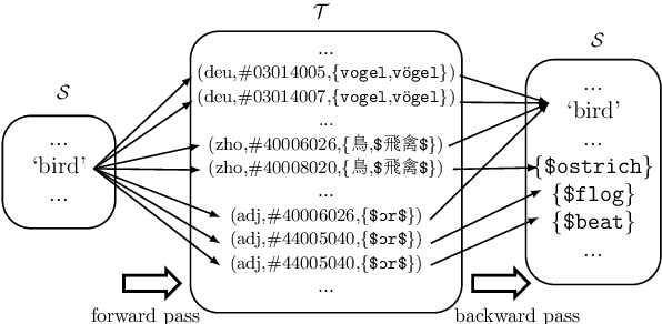 Figure 2 for A Crosslingual Investigation of Conceptualization in 1335 Languages