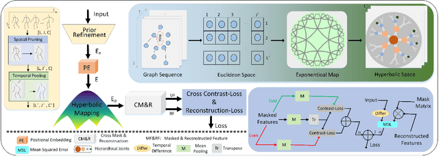 Figure 1 for Spatial Hierarchy and Temporal Attention Guided Cross Masking for Self-supervised Skeleton-based Action Recognition