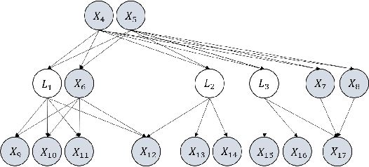 Figure 4 for On the Parameter Identifiability of Partially Observed Linear Causal Models