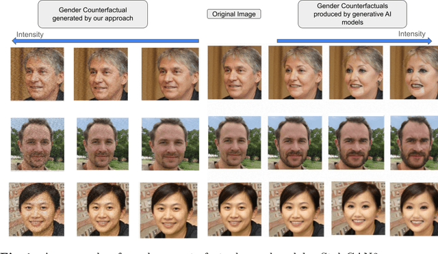 Figure 1 for Utilizing Adversarial Examples for Bias Mitigation and Accuracy Enhancement