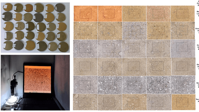 Figure 3 for Soil Fertility Prediction Using Combined USB-microscope Based Soil Image, Auxiliary Variables, and Portable X-Ray Fluorescence Spectrometry