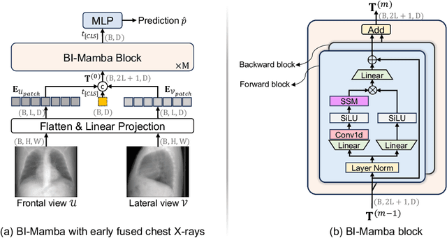 Figure 1 for Cardiovascular Disease Detection from Multi-View Chest X-rays with BI-Mamba