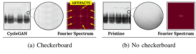 Figure 1 for Explainable Artifacts for Synthetic Western Blot Source Attribution