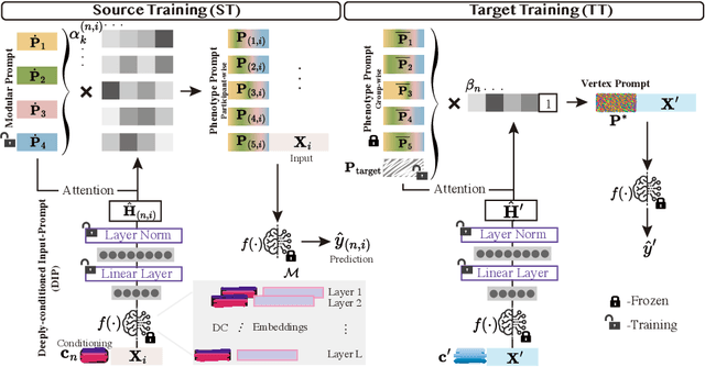 Figure 1 for Prompt Your Brain: Scaffold Prompt Tuning for Efficient Adaptation of fMRI Pre-trained Model