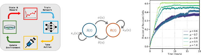 Figure 1 for Reinforcement Learning for Control of Non-Markovian Cellular Population Dynamics