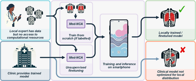 Figure 1 for Unsupervised Training of Neural Cellular Automata on Edge Devices