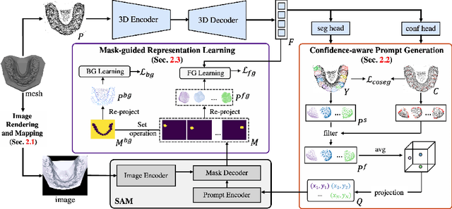 Figure 3 for When 3D Partial Points Meets SAM: Tooth Point Cloud Segmentation with Sparse Labels