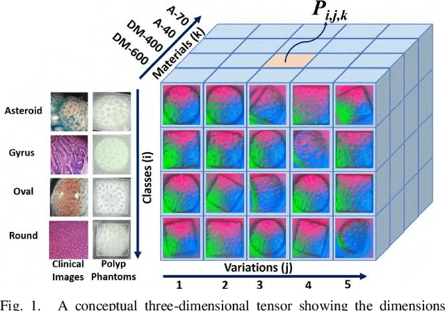 Figure 1 for Pit-Pattern Classification of Colorectal Cancer Polyps Using a Hyper Sensitive Vision-Based Tactile Sensor and Dilated Residual Networks