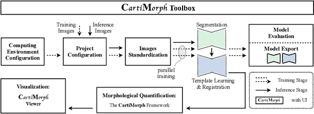 Figure 1 for Quantifying Knee Cartilage Shape and Lesion: From Image to Metrics