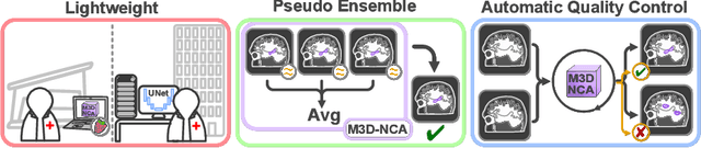 Figure 1 for M3D-NCA: Robust 3D Segmentation with Built-in Quality Control