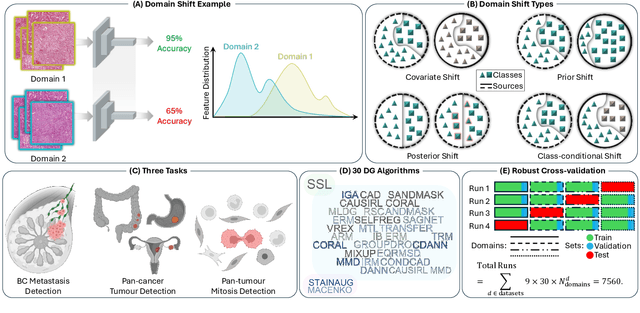 Figure 1 for Benchmarking Domain Generalization Algorithms in Computational Pathology